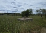 F_928558
