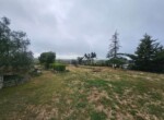 F_956241