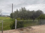 F_259520