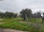 F_984649